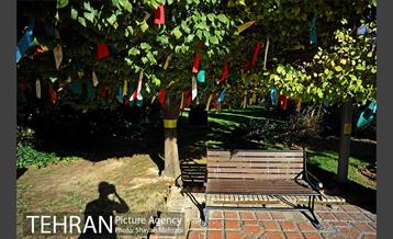 بوستان هنرمندان (ایرانشهر) 25