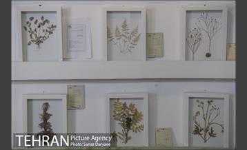 موزه طبیعت و حیات وحش ایران دارآباد‎ 24