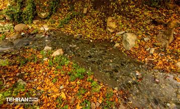 رود دره فرحزاد 33