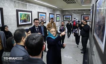 نمایشگاه عکس «رومانی در تصویر» 15