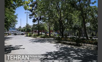 مراحل آماده سازی گذر پیاده راه استاد شهریار 9