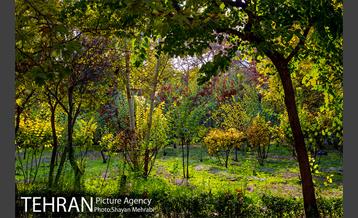 پاییز بوستان لاله 9