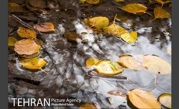 پاییز زیبای منطقه کن 23