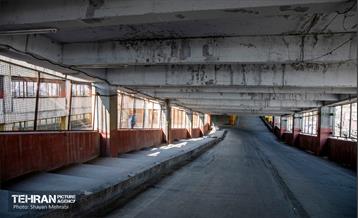 جای خالی پروانه ها 14