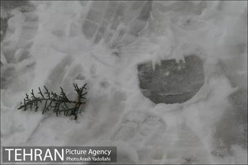 بارش برف در تهران 12