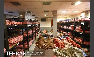 یک شب با شهردار شب تهران دکتر راد 3