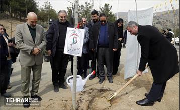 جشن درختکاری در منطقه ۵ 6