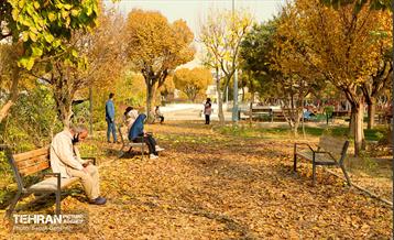 گذرگاه های پاییزی پایتخت - منطقه 13