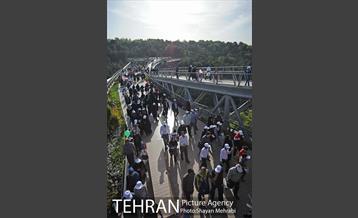 همایش پیاده روی خانوادگی کارکنان شهرداری 17