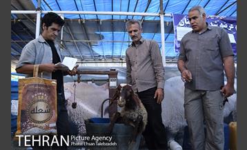 بازدید شهردار تهران از جایگاه های عرضه دام بهداشتی 14