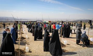 نهال کاری شهردار تهران و رئیس جمهور به مناسبت روز درختکاری 5