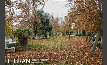 پاییز در بوستان رازی 24
