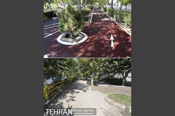 منطقه 8 در گذر زمان 4