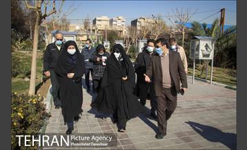 بازدید اعضای شورای شهر از منطقه 17