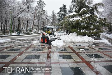 روز برفی تهران در بوستان ملت 5