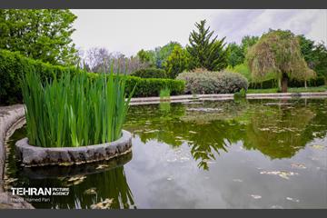 باغ گیاه‌شناسی 11