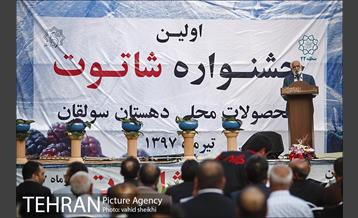 جشنواره شاتوت و محصولات محلی دهستان سولقان 21