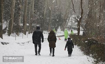 روز برفی تهران - 2 16