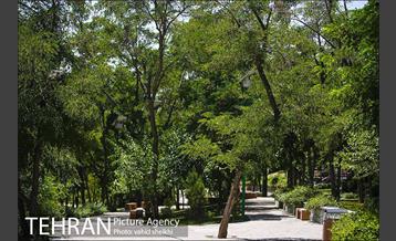 بوستان گلابدره 5