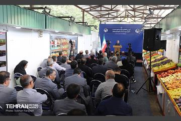 صد و سی و نهمین پویش امید و افتخار 4