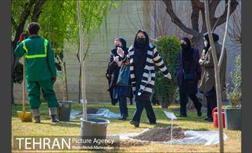 ۱۰۰ نهال به نام ۱۰۰ زن نامدار قرن 13