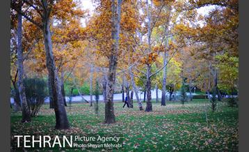 پاییز در بوستان ملت 29