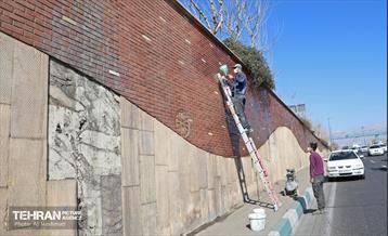 استقبال از بهار - 5 35