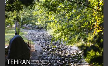 باغ گیاه شناسی ملی ایران  34