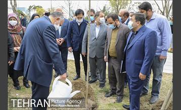 مراسم درختکاری در بوستان ولایت  6