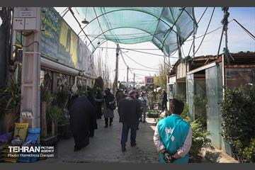 بازار گل محلاتی  42