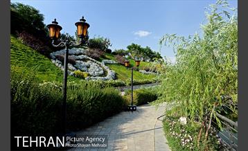 دریاچه و باغ هنر 10