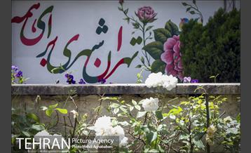 دیوارهای چشم نواز در منطقه 8