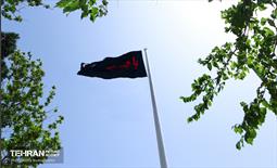 آیین سلام بر محرم