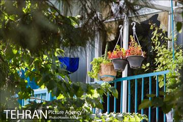 پنجره های شهر تهران 5