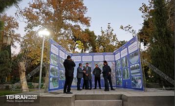 بازدید کمیسیون برنامه و بودجه شورای شهر از پروژه‌های منطقه 11 54