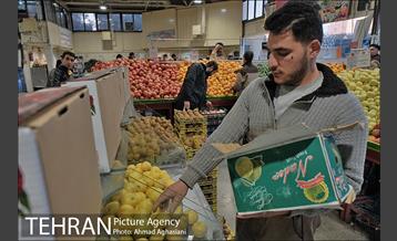 میدان میوه وتره بار شهید غیبی شهرری 14