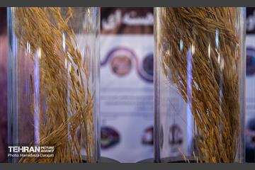 پنجاه‌‌و‌سومین نمایشگاه دستاوردهای صنعت هسته‌ای 27