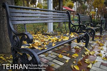 پاییز زیبای پایتخت- 4 16