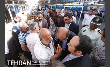 عرضه بهداشتی دام در جایگاه منطقه 2 شهرداری تهران  20