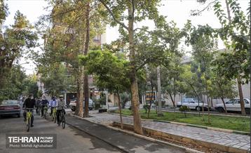 پویش سه شنبه های بدون خودرو در منطقه 8