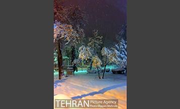 صبح برفی تهران 3