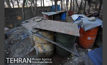 فراموش شدگان اداره منابع طبیعی در بوستان چیتگر 12