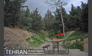 پارک جنگلی لویزان‎ 18