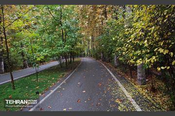 طبیعت پاییزی مجموعه فرهنگی تاریخی سعدآباد  27