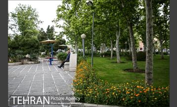 بوستان سیمرغ 4