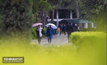 تیتر هوای بهاری تهران 30