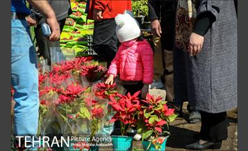 خرید لحظه آخری نوروزی 11