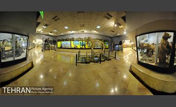 موزه حیات وحش پردیسان 47