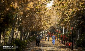 سمفونی رنگ های پاییزی - بوستان رازی 5