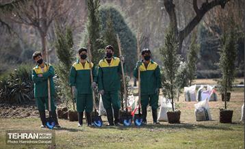 سنت حسنه درختکاری، یادبود شهدای منطقه6